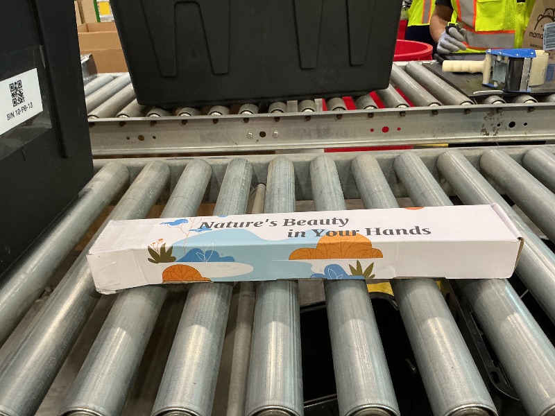 Photo 1 of 16 Pcs Bleached Preserved Eucalyptus Stems - 16'' Naturally Cream White Preserved Eucalyptus Branches, Dried Eucalyptus Stems for Vase Filler, Wedding, Home, Floral Arrangement