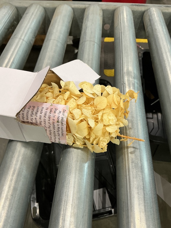 Photo 1 of 16 Pcs Bleached Preserved Eucalyptus Stems - 16'' Naturally Cream White Preserved Eucalyptus Branches, Dried Eucalyptus Stems for Vase Filler, Wedding, Home, Floral Arrangement