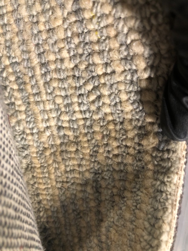 Photo 1 of ** NEW**  Loloi Chris Loves Julia x Francis Collection FRA-03 Silver/Sky 5'-0" x 7'-6" Area Rug