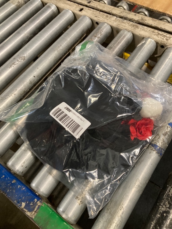 Photo 1 of *Hat Only* 2025 Day of The Dead hat