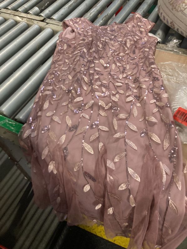 Photo 1 of ***CORRECT DRESS******Alex Evenings Women's Short Embroidered Cocktail Dress, Wedding Guest (Petite and Regular Sizes), Rose, 6P