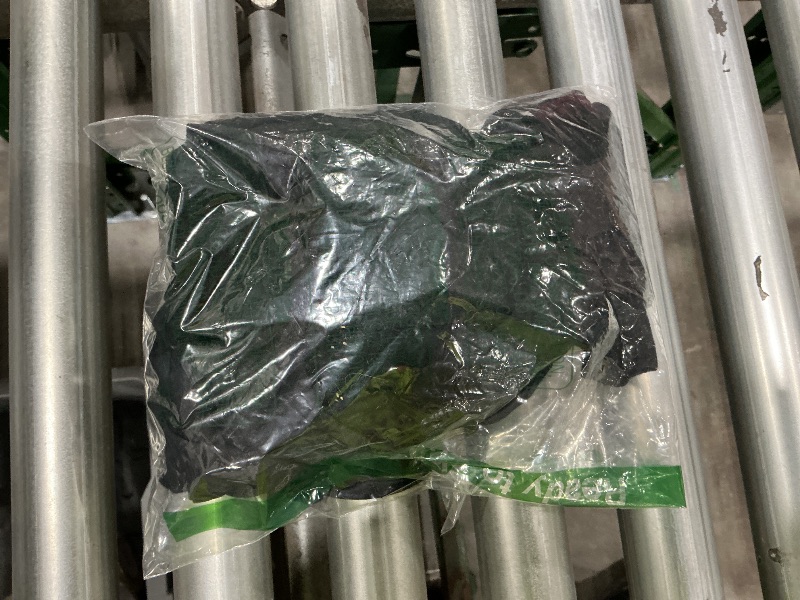 Photo 1 of **MINOR DAMAGE**
Plus Size Teacher Shirt Women Teaching Tshirt ABC Alphabet Graphic Tee Tops Teachers Gift T-Shirt Black, 2XL