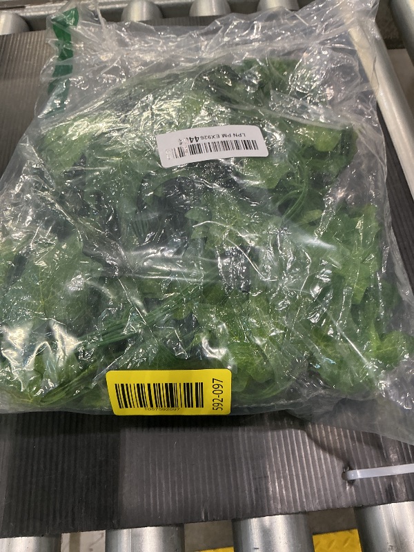 Photo 1 of *USED*
DearHouse 84 Feet 12 Strands Artificial Ivy Leaf Plants Vine Hanging Garland Fake Foliage Flowers Home Kitchen Garden Office Wedding Wall Decor, Green