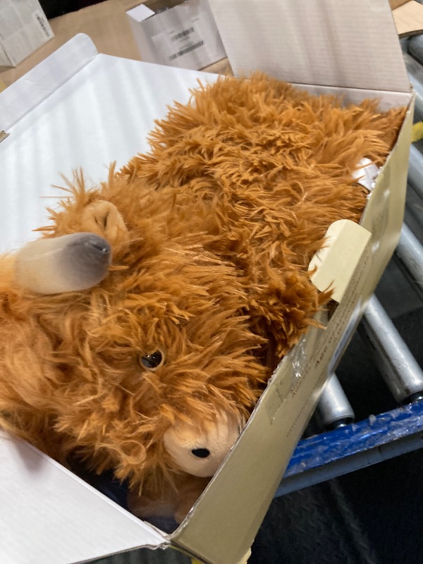 Photo 1 of **ONE PIECE**24" & 4.5 lbs Highland Cow Weighted Stuffed Animal, Adjustable Sitting & Laying Plush Toy Pillows with Removable Ceramsite Bag for Companion, Cuddly & Soft Gifts for Adults, Kids, Boys and Girls