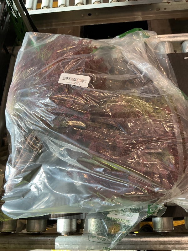 Photo 1 of 24" Fall Cedar Topiary Trees Artificial Outdoor, Set of 2 Faux Bushes and Shrubs with Ground Spike, UV Resistant Realistic Large Fake Ball Plants for Front Porch Outside Planters Backyard Decor