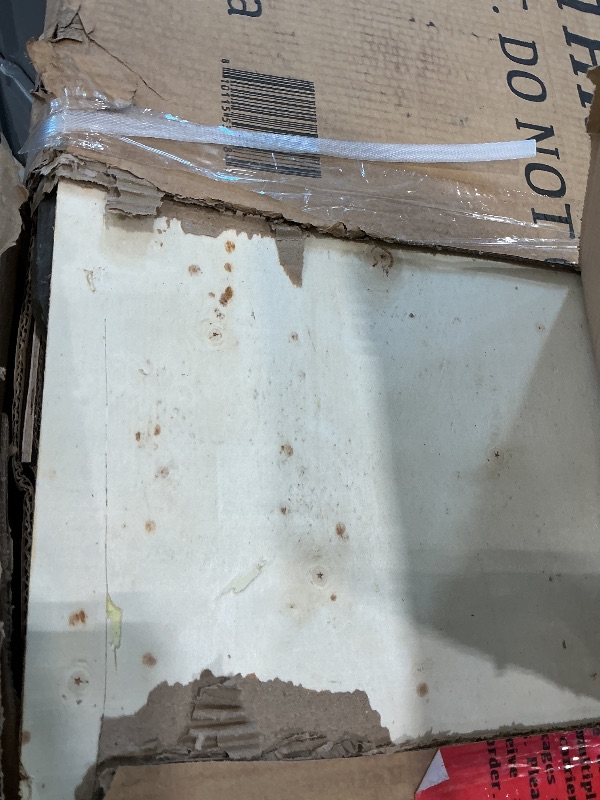 Photo 1 of Fitvids Glute Bridge Plate-Loaded Hip Thrust Machine for Butt Shaping and Building Glute Muscles