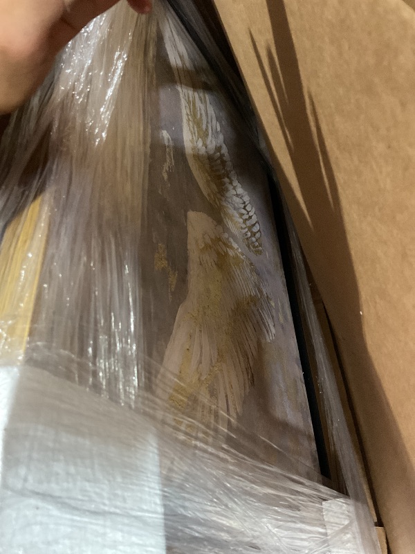 Photo 1 of The Oliver Gal Artist Co. Fashion and Glam Wall Art Framed Canvas Prints 'Wings of Gold' Wings