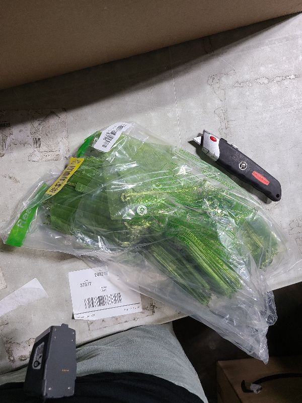 Photo 1 of 100Pcs Fruit Protection Bags, 4×6inch Fruit Netting Bags for Fruit Trees, Green Fruit Netting Cover Drawstring Mesh Bags Pest Barrier for Strawberry Blueberry Small Fruit