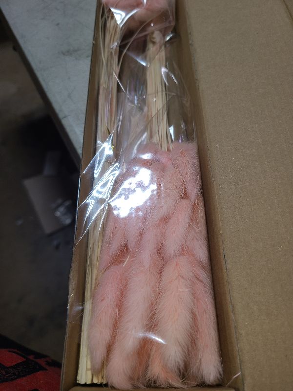 Photo 1 of 120 PCS Pink Dried Pampas Grass Decor, 17-inch Pompas Floral, Dry Flowers for Decoration, Pampas Grass in Bulk Tall, Pink Bunny Tails Dried Flowers for Boho Wedding Decor