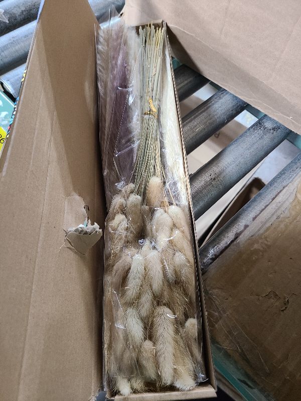 Photo 1 of 110 PCS Dried Pampas Grass Bouquet, Boho Table Decor, Bunny Tails Dried Flowers, Brown Pompas, White Pampas Grass for Wedding, Home, Rustic Party, Baby Shower Decorations