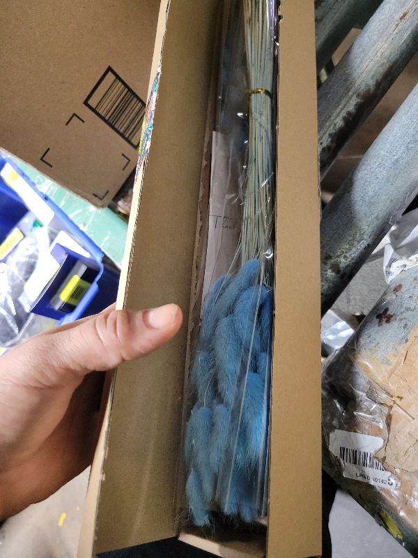 Photo 1 of 120 PCS Blue Dried Pampas Grass Decor, 17-inch Pompas Floral, Dry Flowers for Decoration, Pampas Grass in Bulk Tall, Blue Bunny Tails Dried Flowers for Boho Wedding Decor