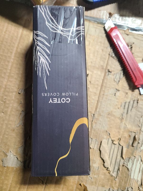 Photo 1 of 20" x 12" Black Throw Pillow Covers Pack of 2, Soft Fluffy Faux Fur Decorative Pillows for Couch, Bed Cover with Velvet Back for Living Room, Home Décor for Sofa (50cm x 30cm, No Inserts Included)