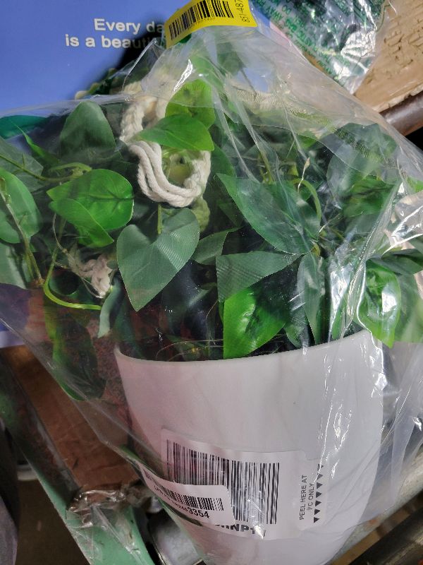 Photo 1 of 2 Packs Fake Hanging Plant with Lights Artificial Plants with Pots for Home Decor Macrame Plant Hanger with Faux Vines Greenery for Bedroom Bathroom Room Ceiling Wall Boho Decor Indoor Outdoor