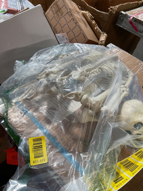 Photo 1 of 36" Skeleton Halloween Decorations, 3FT Realistic Full Body Movable Posable Joints Skeleton, Creepy Halloween Plastic Skeleton for Graveyard Decorations, Haunted House Props Indoor/Outdoor Decor