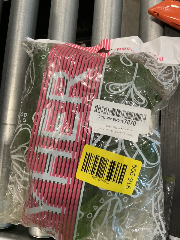 Photo 1 of *Missing Parts*
BYHER Natural Green Moss Decorative Ball,Handmade (3.5"-Set of 6)