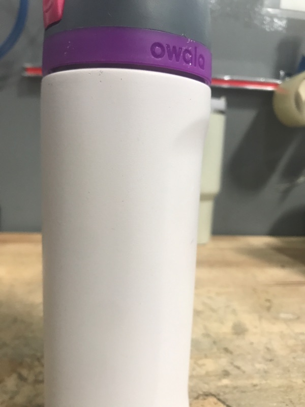 Photo 1 of ***NO LID***

Owala FreeSip Insulated Stainless Steel Water Bottle with Straw for Sports, Travel, and School BPA-Free Sports Water Bottle, 24 oz, Dreamy Field