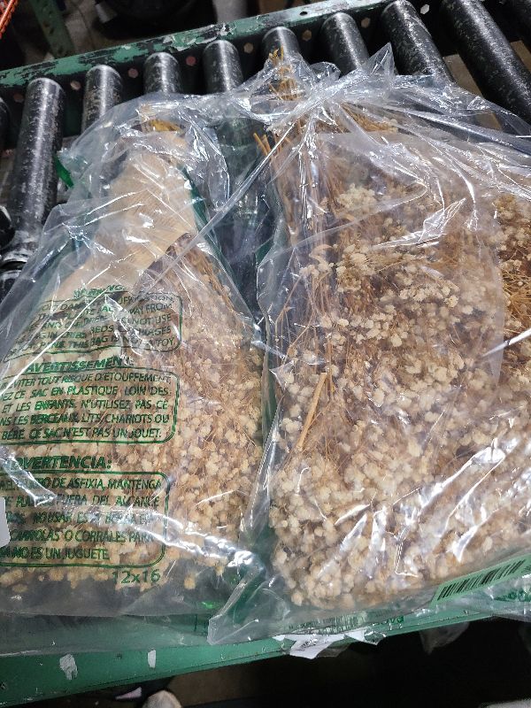 Photo 1 of 2000+ Dried Babys Breath Flowers Bulk - 17" Ivory White Dried Flower Bouquet, Real Natural Gypsophila Branches for Vase Filler, Wedding, Table Centerpiece, Home Decor, DIY Wreath Floral, Crafts