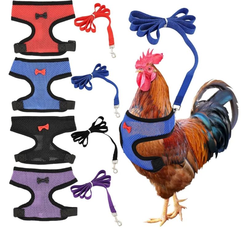 Photo 1 of 4 Pcs Adjustable Chicken Harness with Leash- 4 Styles Comfortable Hen Vest Breathable Mesh Training Harness and Leash for 2.5-3.6 Lb Duck Goose Hen Small Pets