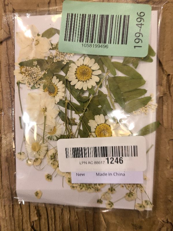Photo 1 of 36Pcs Dried Pressed Flowers for Resin DIY Art Crafts Natural Dry Floral Daisy Epoxy Jewelry Real Rose Summer Decor Cakes Bookmarks Phone Cases Candles Handmade Soap White