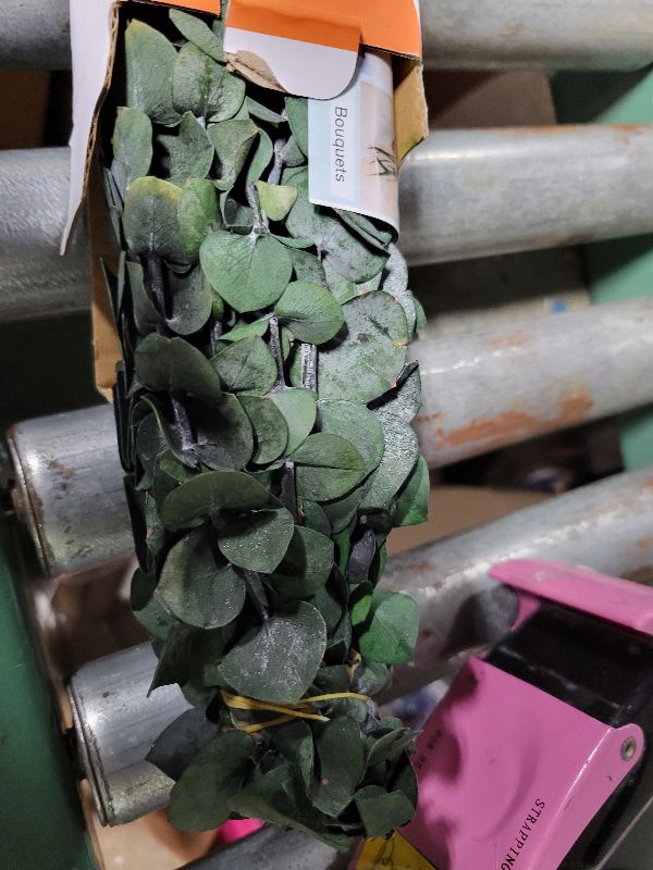 Photo 1 of 30Pcs Dried Eucalyptus Stems, 17" Real Preserved Eucalyptus Plant for Shower, Fresh Natural Branches for Vase, Eucalyptus Bundle for Home Decor, Wedding, Baby Shower, Bathroom