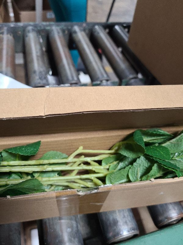 Photo 1 of 12pcs Artificial Mint Plant, Faux Greenery Plastic Houseplant Faux Stems Greenery for Garden Patio Planter Pathway Porch Kitchen Window Decor