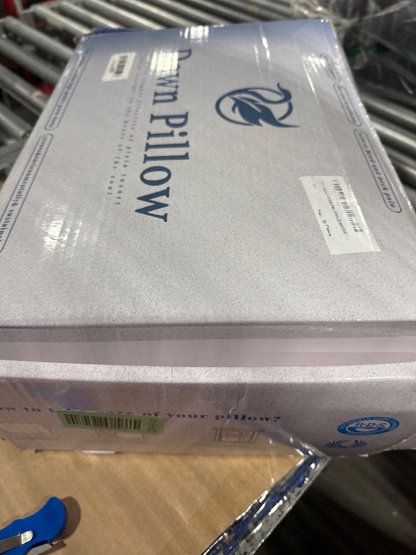 Photo 1 of LBRO2M Luxury Goose Down Pillow 900 Fill Power 80% Goose Down 100% Cotton Shell 20"X30" Bed Pillows Well Balance of Softness and Firmness (Queen Pack of 2)