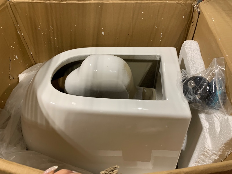 Photo 1 of ** NEW*** Wall Hung Toilet with Tank, Eridanus Wall Mounted Toilet Combo Set, In-Wall Toilet Tank Carrier, Dual-Flush Plate Included, Floating Toilet Bowl With Soft-Close Seat, Glossy White, 2 Separate Packages