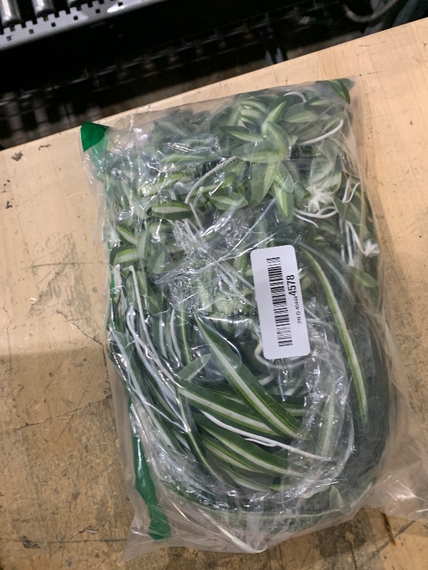 Photo 1 of 3 Packs Artificial Spider Plant, Silk Faux Chlorophytum Comosum Fake Spider Hanging Plant Decor for Outdoor Indoor Home Garden Office Decoration