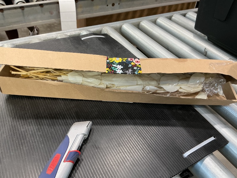 Photo 1 of 10 PCS Real Creamy White Silver Dollar Eucalyptus Stems for Vase - 15"-17" Fresh & Dried Eucalyptus Leaves Bundle, Natural Greenery Plants for Home, Wedding, Boho Decor & DIY Crafts