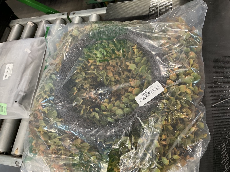 Photo 1 of 26" Fall Wreath for Front Door, Porch, Window - Large Artificial Boxwood Leaves Outdoor Wreath for Home, Farmhouse Harvest Festival Thanksgiving Day Autumn Decor