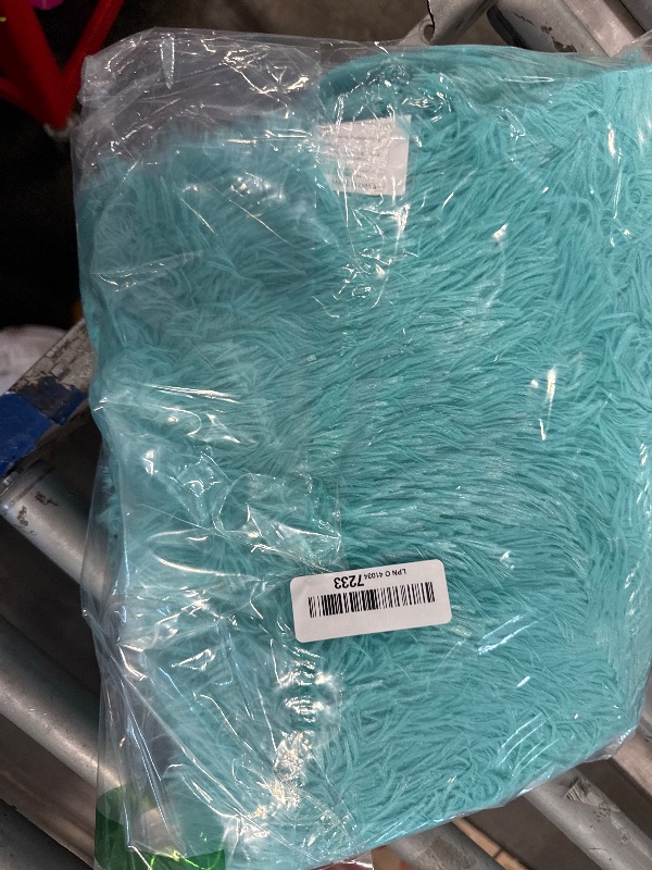 Photo 1 of  2x3 Feet Merelax Modern Soft Fluffy Small Shaggy Rug for Bedroom Livingroom Dorm Kids Room Indoor Home Decorative, Non-Slip Plush Furry Fur Area Rugs Comfy Nursery Accent Floor Carpet 2x3 Feet, Teal