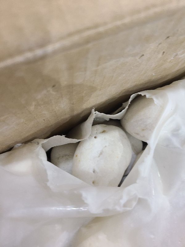 Photo 1 of 20lbs Natural River Rocks, 3-4 Inch Premium Pebbles for Landscaping, Hand-Picked Smooth Unpolished Stones for Garden Design, Fish Tank, Flower Pots, Pathways, Backyard and Outdoor Decor, White