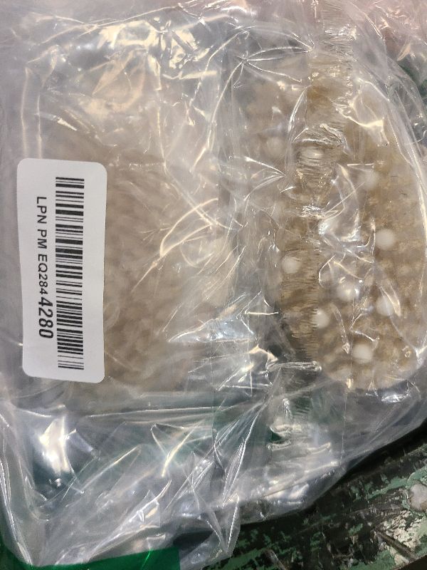 Photo 1 of 2 Pack Dry Brushing Body Brush, Natural Bristle Exfoliating Brush with Massage Nodes, for Lymphatic Drainage and Improving Skin Health and Reduces Acne