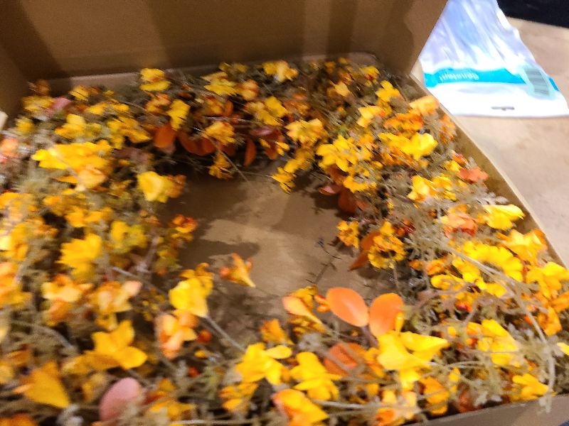 Photo 1 of 22 Inch Fall Wreaths for Front Door Artificial Orange Eucalyptus Berry Autumn Wreath with Daisy Jasmine Flowers Farmhouse Fall Flower Wreath for Front Door Outside Indoors