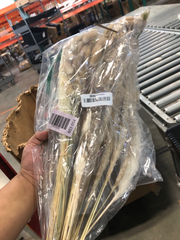 Photo 1 of ***A LITTLE BENT****Chenkaiyang 110 Pieces Dried Pampas Grass Decor Bulk, Dried Palm Spears Bunny Tails Pampas Reed Grass Dried Palm Leaves Dried Flower Bouquet for Wedding Boho Home Decor