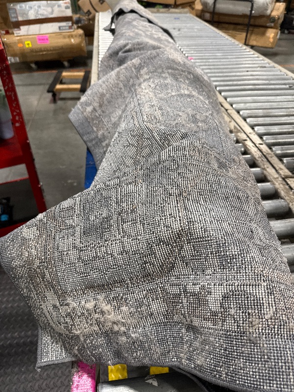 Photo 1 of ***USED RUG***CHAMPLANT Washable Area Rug 8'x10' Retro Boho Design Non-Shedding Non-Slip Easy Care Ideal for High Traffic Areas in Living Room Bedroom Office Coffee Table Kitchen Large Carpet