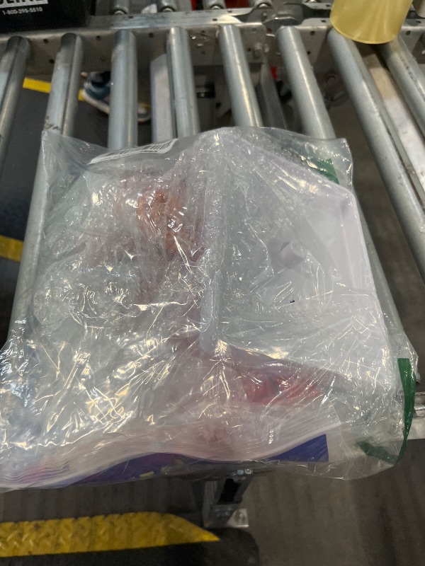 Photo 1 of EVOTECH Human Half Head Superficial Neurovascular Model with Musculature, Life Size Anatomical Head Model Skull and Brain for Medical Teaching Learning, Science Learning Education Display Tool