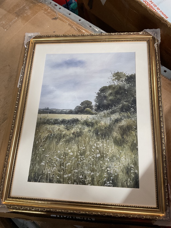 Photo 1 of *****Stock photo for reference only***
ARPEOTCY Vintage Gold Framed Wall Art, 16x20 inch, Large Canvas Prints Artwork, Home Wall Decor for Bedroom Living Room Bathroom