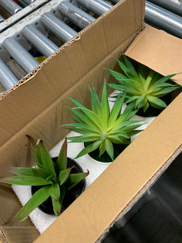 Photo 1 of Winlyn Set of 3 Assorted Artificial Succulent Plants in Pots Small Fake Plants for Home Garden Office Desk Counter Shelf Windowsill Decor