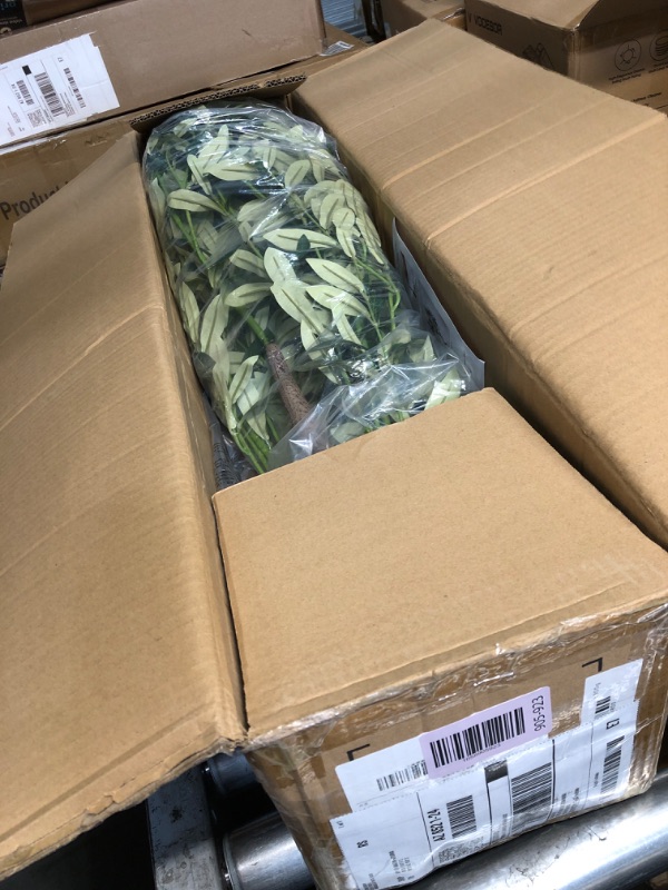 Photo 1 of (USED/FAIR) (BAGGED) Bellacat Faux Olive Tree 6ft?Olive Trees Artificial Indoor with Natural Wood Trunk and Realistic Leaves and Fruits. 6 Feet(72in) Fake Olive Tree for Home House Office Décor.
