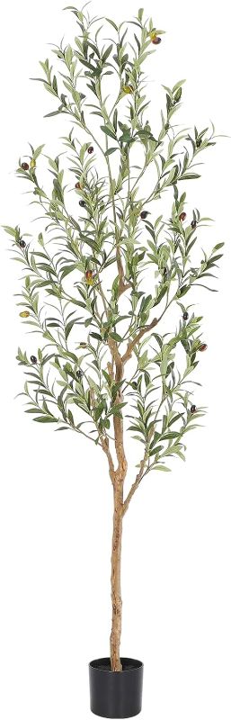 Photo 1 of (USED/FAIR) (BAGGED) Bellacat Faux Olive Tree 6ft?Olive Trees Artificial Indoor with Natural Wood Trunk and Realistic Leaves and Fruits. 6 Feet(72in) Fake Olive Tree for Home House Office Décor.
