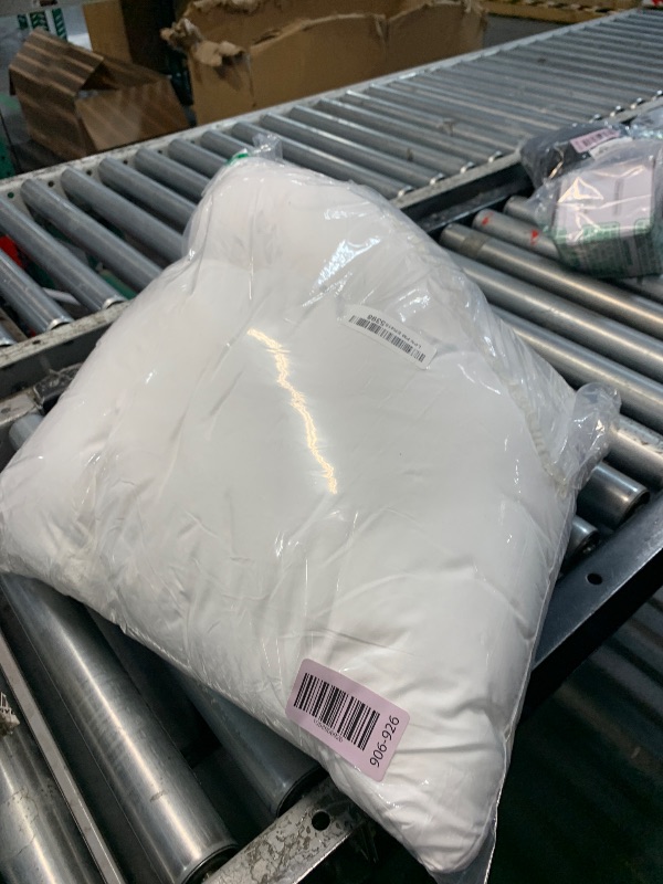 Photo 1 of (GENERIC PILLOW) (BAGGED) 20x20 Pillow Inserts Set of 2 Throw Pillows 20 Inch Premium Down Alternative Pillow Inserts Decorative Pillow Stuffer for Sofa, Couch (20x20 inch, Set of 2)