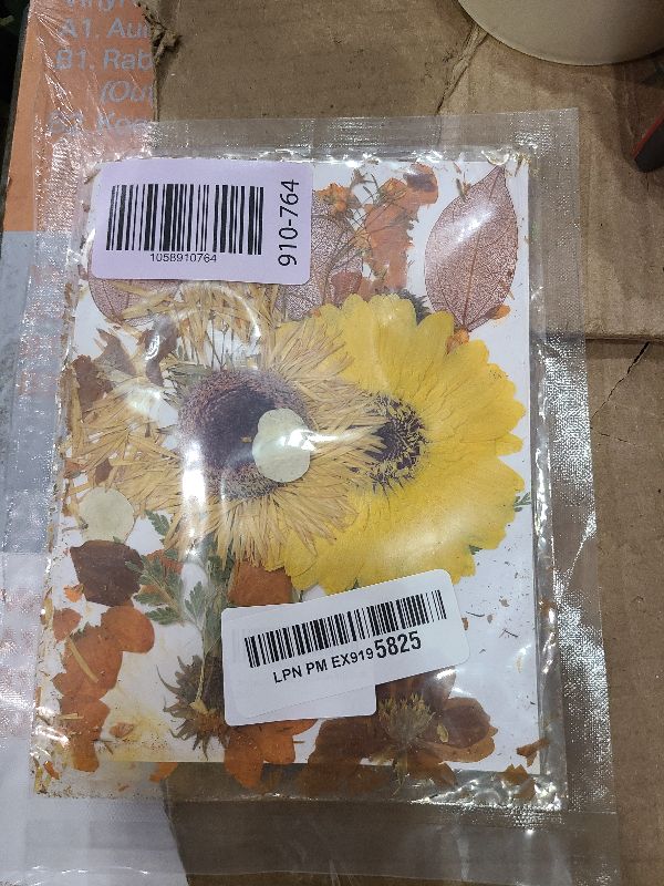 Photo 1 of 19Pcs Large Dried Flowers for Art Crafts, Real Natural Dried Pressed Flowers Dry Leaves Bulk Kit for DIY Art Crafts Resin Jewelry Making Scrapbook Supplies Card Nails Decors
