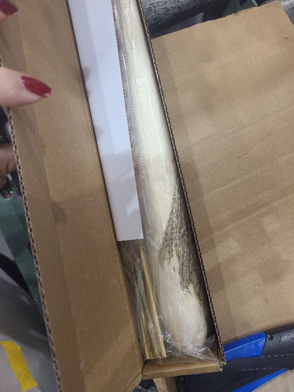 Photo 1 of 120PCS Natural Dried Pampas Grass Boho Home Decor Bouquet Phragmites Dried Flowers Bouquet for Wedding Floral Arrangements Home Decorations (120PCS)