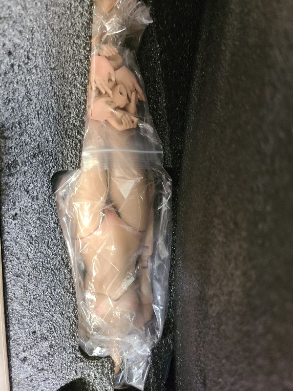 Photo 1 of 1/6 Scale Female Body,12inch Worldbox Female Joint Flexible Pale Suntan Skin Action Figure Body Collection (Light Suntan Skin, Model Version)