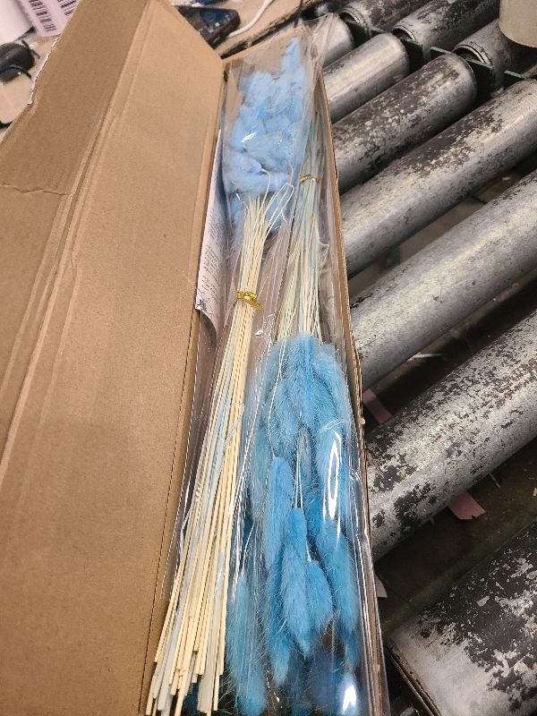 Photo 1 of 120 PCS Blue Dried Pampas Grass Decor, 17-inch Pompas Floral, Dry Flowers for Decoration, Pampas Grass in Bulk Tall, Blue Bunny Tails Dried Flowers for Boho Wedding Decor