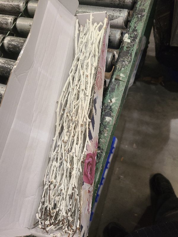 Photo 1 of 25 Pcs Real Dried White Birch Twigs Stems -100% Natural 17" Birch Sticks, Branches for DIY Vase, Decorations, Floral Arrangement, Twig Wreath, Centerpiece, Rustic Home Decor