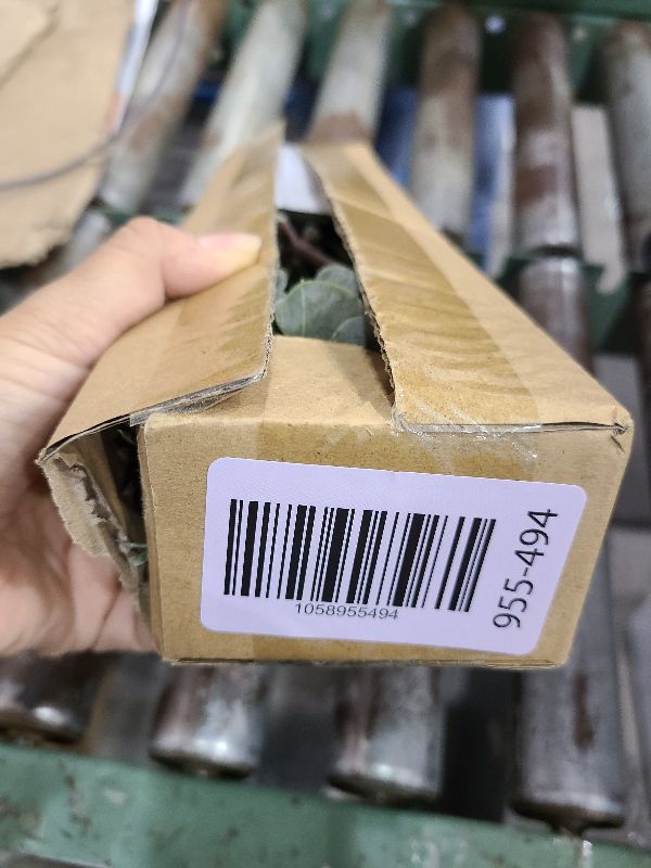 Photo 1 of 10 Pcs Mixed Eucalyptus Leaves Stems Bulk Artificial Silver Dollar Picks Faux Branches for Vase Bouquets Floral Arrangement Wreath Farmhouse Rustic Greenery Decor