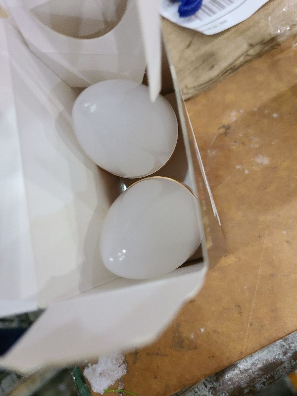 Photo 1 of 2 Pack BlueX LED Candle Orange Light Bulb - 4W (40Watt Equivalent) - E12 Base Orange LED Bulb, Party Decoration, Porch, Home Lighting, Holiday Lighting, Chandelier Light Bulbs, Candelabra Bulbs