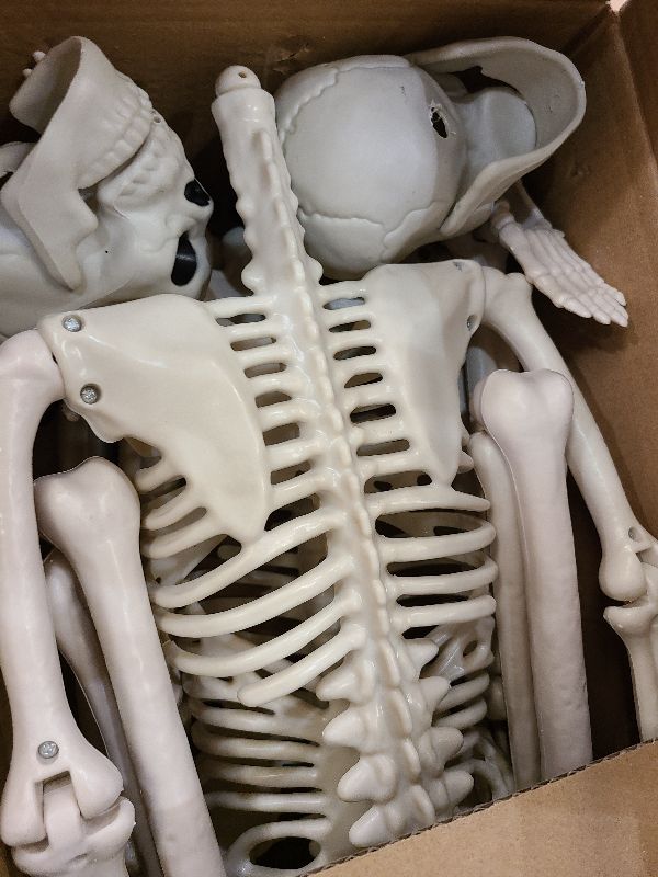Photo 1 of 2 Pack 36"Halloween Skeleton - 3 ft Life Size Human Skeleton with Full Body Posable Joints Plastic Skeleton for Halloween Skeletons Decor Yard Patio Lawn Garden Skeleton Props Spooky Party Decoration
